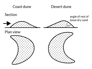 A comparison of coast and desert dunes