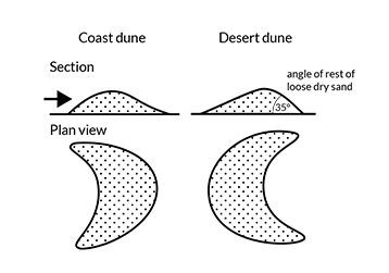 Coastal and desert sand dunes